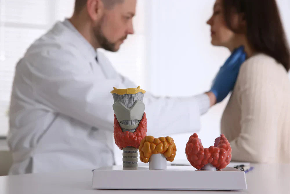 Signs of Thyroid Imbalance and What to Do Next
